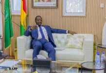 Retour en grâce express : Mamadou Angelo Diallo propulsé à la tête de Simandou 2040.