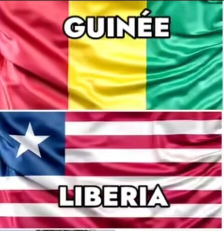 Guinée : la HAC suspend deux sites d’information pour trois mois.