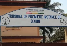 Guinée : un an de prison pour Moussa Oularé, condamné pour incitation à la haine envers la communauté forestière.