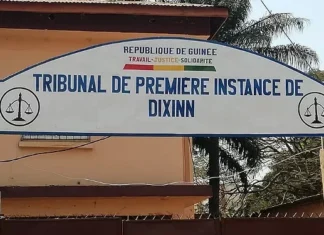 Guinée : un an de prison pour Moussa Oularé, condamné pour incitation à la haine envers la communauté forestière.
