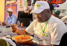 Festival de la Mangue : le FAPGAZ intensifie la promotion du gaz butane auprès des ménages à Kindia.